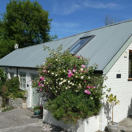 The Garden Room Dundon エクステリア 写真